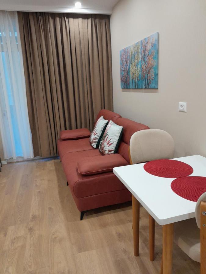 Kristi Apartments 03 地拉那 外观 照片